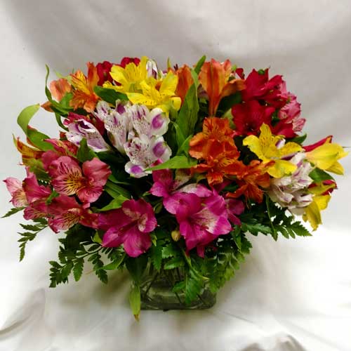 Lasting Lilies